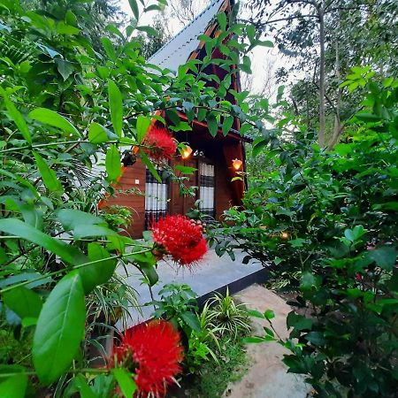 The Otunna Guest House สิกิริยา ภายนอก รูปภาพ