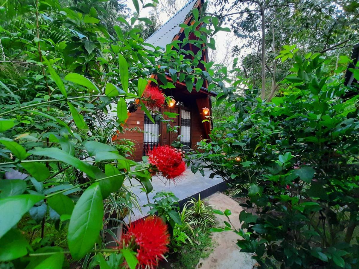 The Otunna Guest House สิกิริยา ภายนอก รูปภาพ